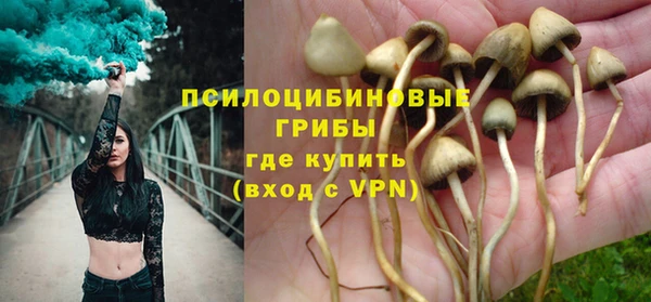 мдпв Нязепетровск