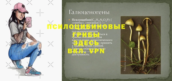стафф Осинники