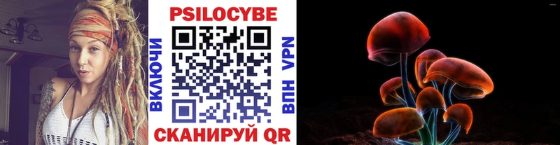 Псилоцибиновые грибы Psilocybine cubensis  Купить где  Лабинск 